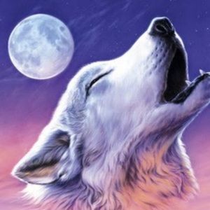 Meet your Posher, Cortney